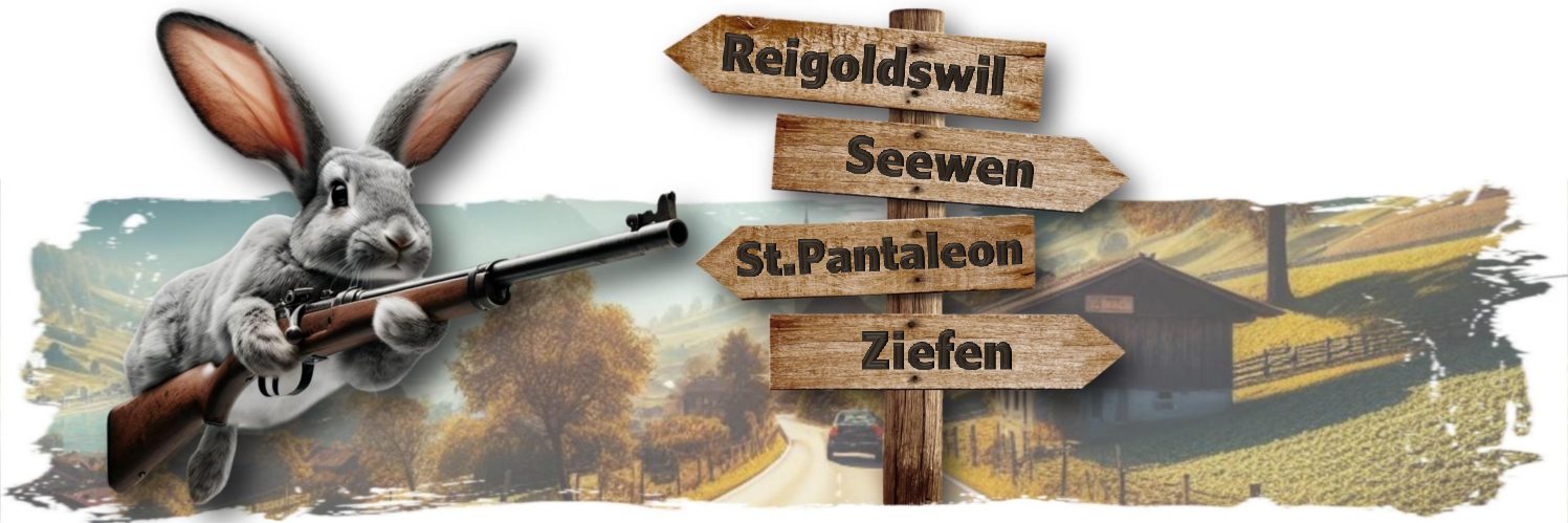 Ziefen • Seewen • St.Pantaleon • Reigoldswil